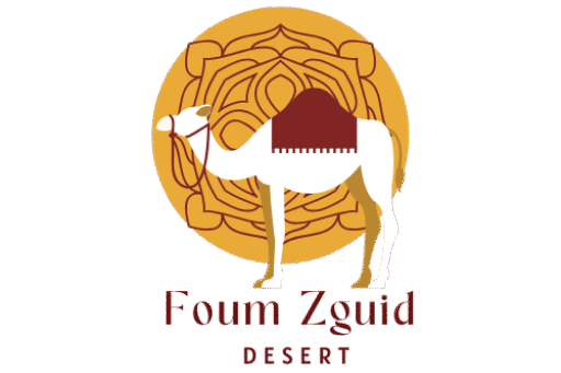 Foum Zguid Desert