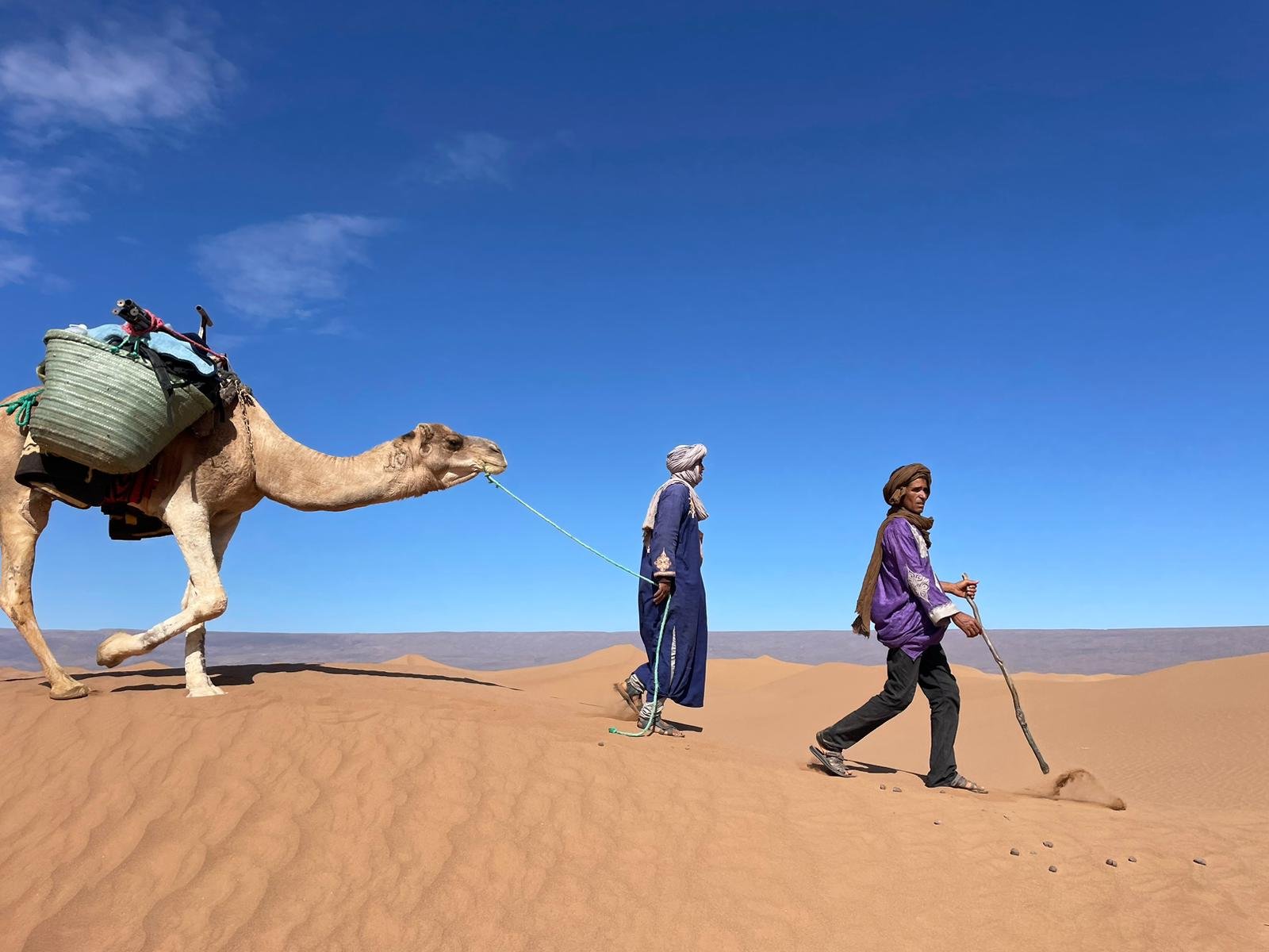 Trek au Cœur des Dunes : Depuis Marrakech ou Agadir