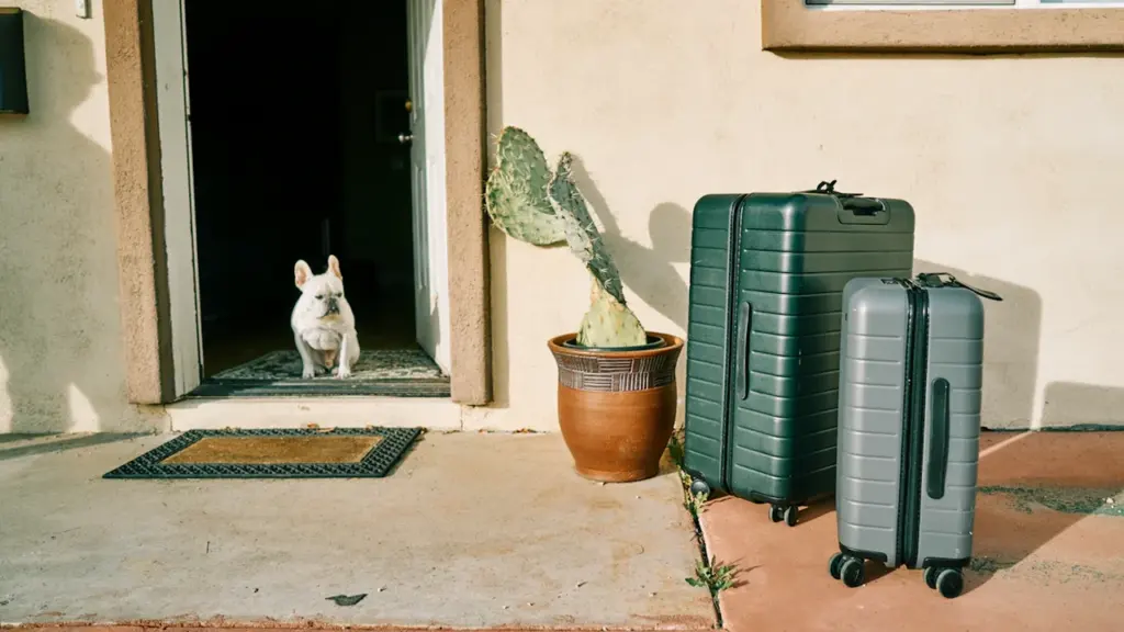 À Lyon, partir en vacances sans laisser son animal