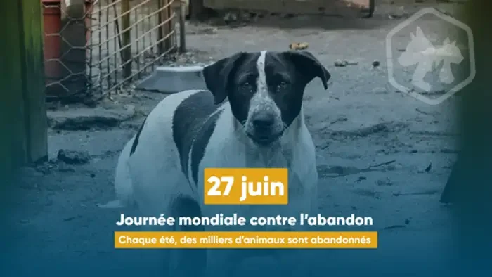 À Lyon, partir en vacances sans laisser son animal