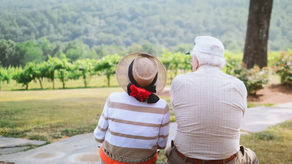 Un couple âgé assis de dos, profitant d'une vue apaisante en plein air.