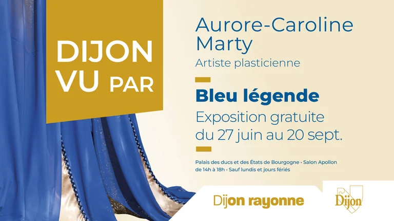 Dijon redécouvre ses monuments en légende bleue: ce qu'il faut retenir