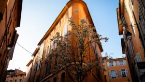 Vue aérienne des toits typiques d'Aix-en-Provence avec des arbres verdoyants au printemps.