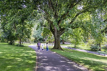 À Angers, donnez votre avis avant que deux parcs évoluent