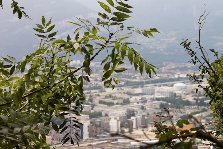 À Grenoble, deux bains d’animaux à explorer gratuitement