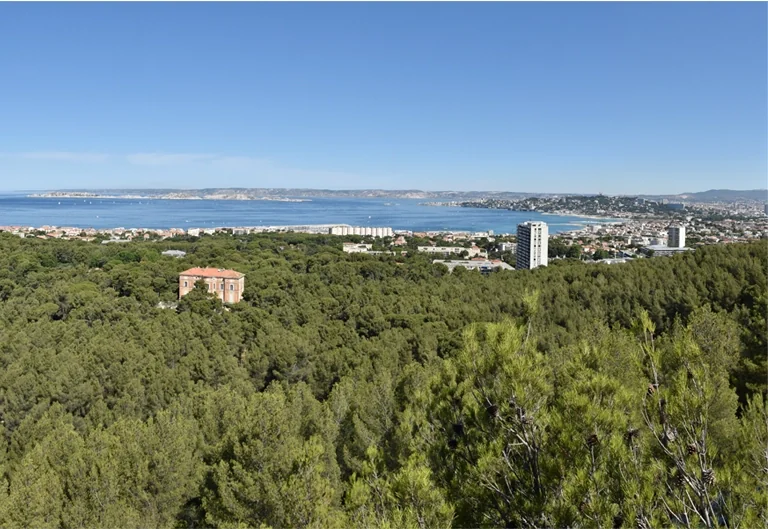 À Marseille, l’alerte incendie bloque les massifs
