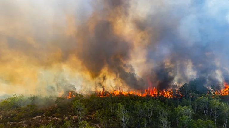 À Montpellier, l’été impose des gestes anti-incendie: ce qu'il faut retenir
