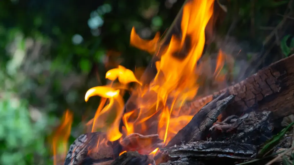 À Saint-Jean-de-Luz, le risque de feu ferme la pinède