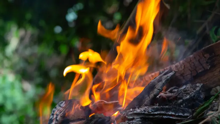 À Saint-Jean-de-Luz, le risque de feu ferme la pinède