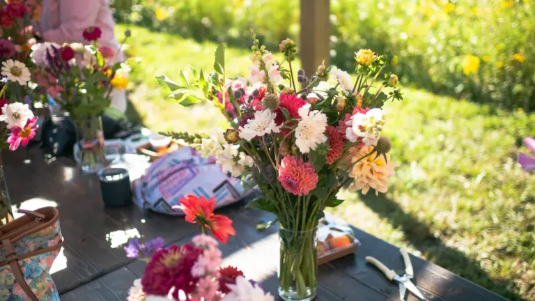 Atelier de l’été à Saint-Dizier : gratuit le 29 juillet