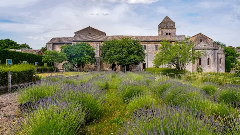 Trois-Fontaines : les Dimanches de l’Abbaye jusqu’au 23 août