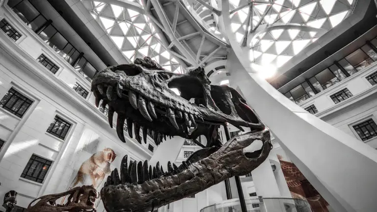 Une plongée dans l’histoire des dinosaures à Elbeuf