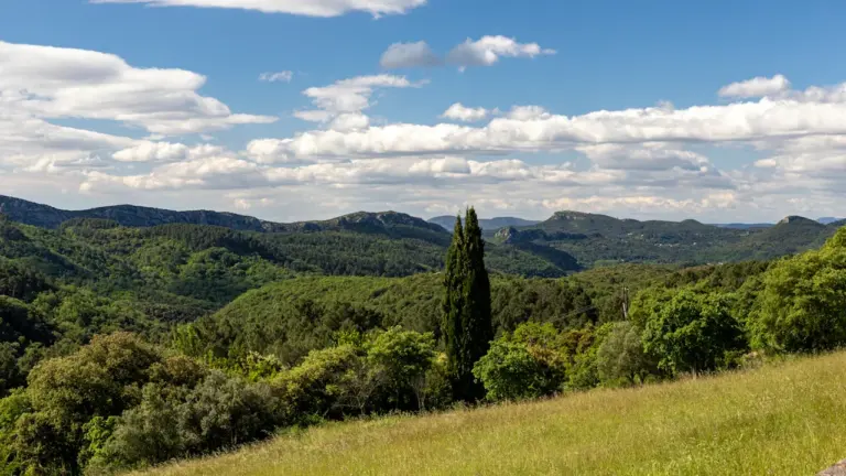 À Draguignan, tous les massifs fermés ce lundi