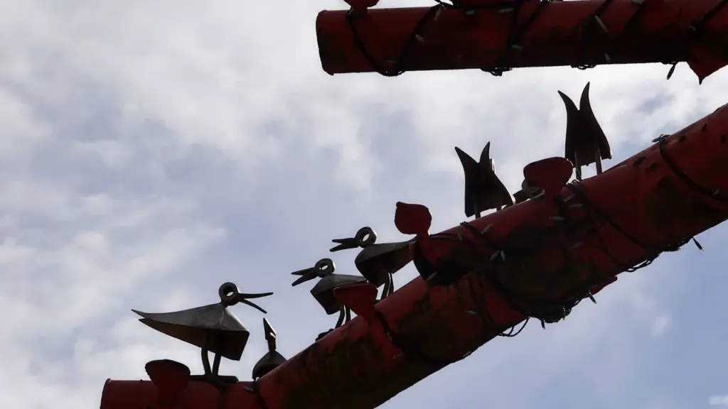 À Nîmes, « Le réveil des oiseaux » se découvre gratuitement