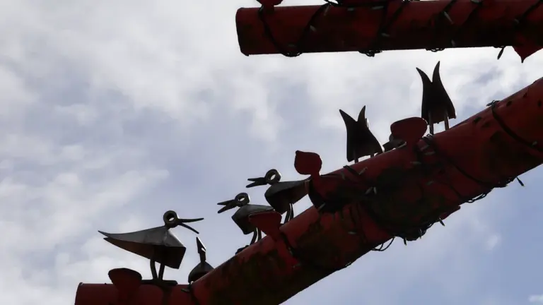 À Nîmes, « Le réveil des oiseaux » se découvre gratuitement