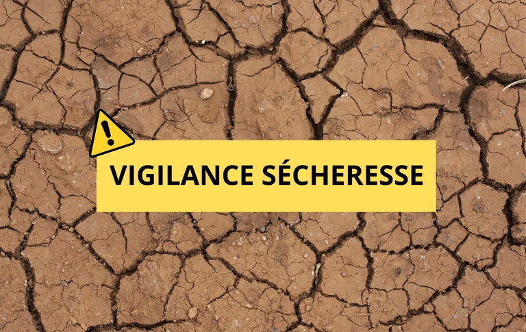À Vitrolles, la vigilance sécheresse change les réflexes