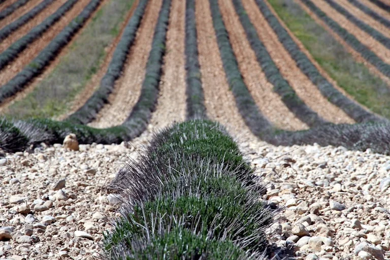 À Vitrolles, la vigilance sécheresse change les réflexes