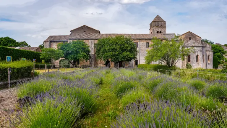 Angers : l’abbaye du Ronceray en expo gratuite au RU