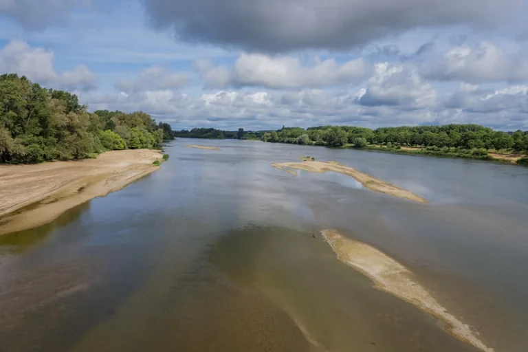 Balade sur la Loire à Orléans : une sortie en toue sablière