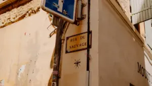 Plaque de rue et illustration de moustique rappelant les gestes de prévention santé.