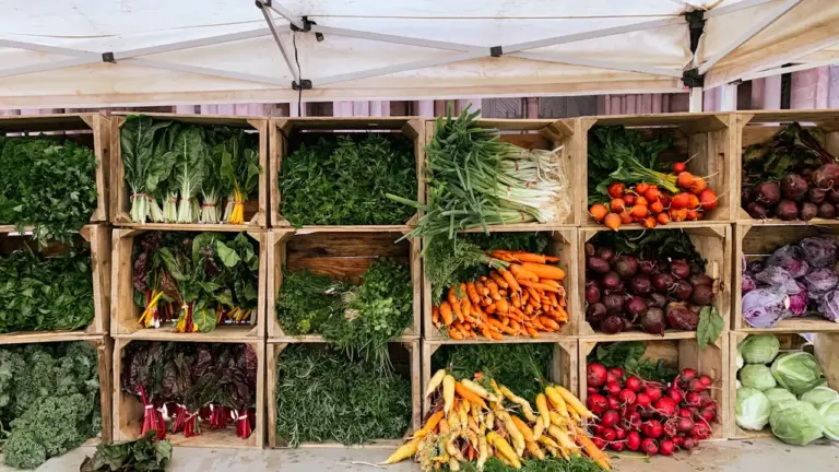 Dax : marché des producteurs et musique le 28 août