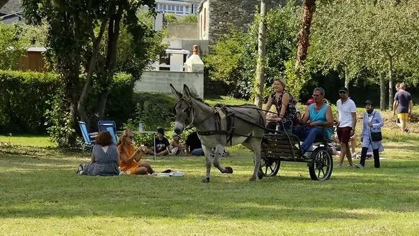 Fête des ânes à Cherbourg-en-Cotentin : programme gratuit en famille