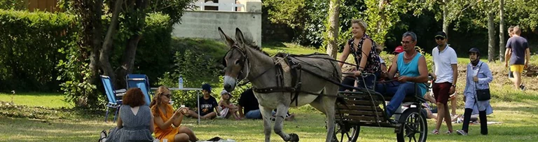 Fête des ânes à Cherbourg-en-Cotentin : programme gratuit en famille