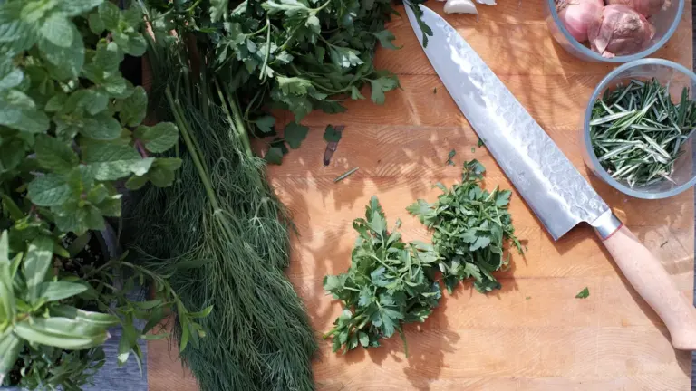 Grand Quevilly : un atelier gratuit autour des aromates le 17 août