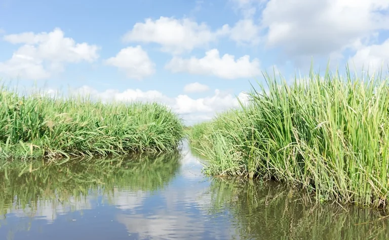 Une balade sur la Loire à Orléans : infos pratiques et réservation