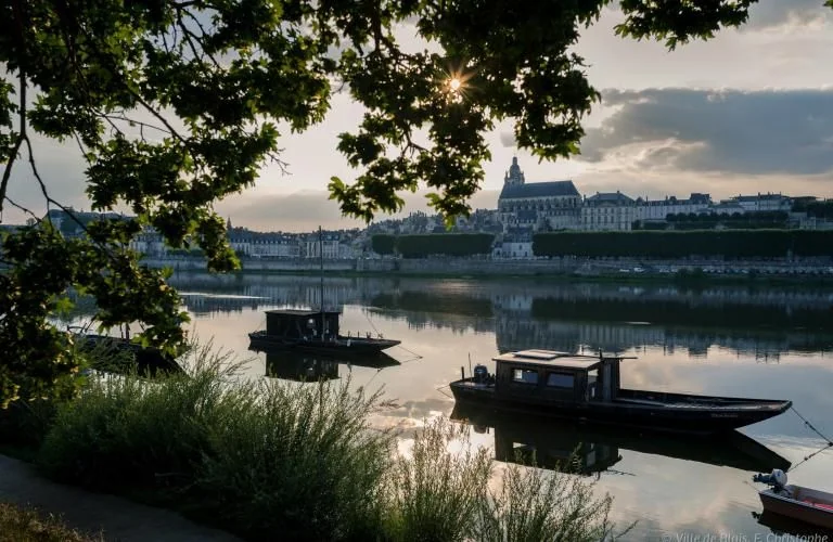 Ville d’art et d’histoire à Blois : l’été à 6 €