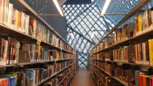Allées de bibliothèque moderne avec étagères remplies de livres et architecture contemporaine.