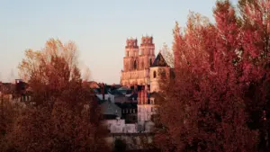 Vue panoramique de la cathédrale d'Orléans s'élevant au-dessus des arbres en automne.